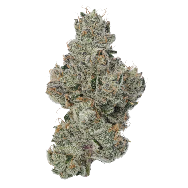 Blueberry Skunk - AA