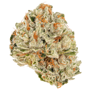 Lemon Stomper - AA
