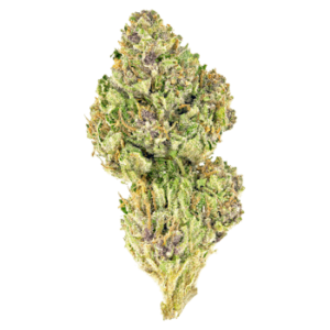 Banana Cream - AA