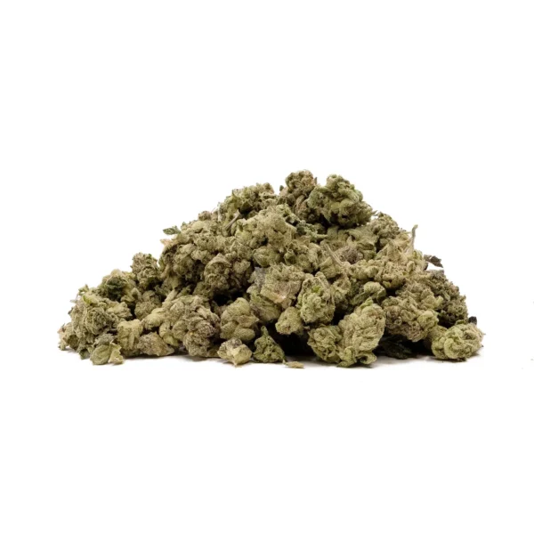 Trainwreck - AA