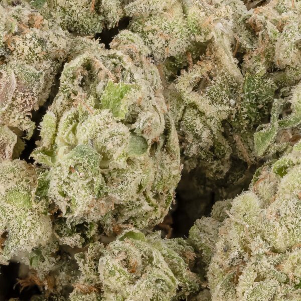 Trainwreck - AA - Image 2