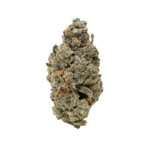 Mother's Milk - AA