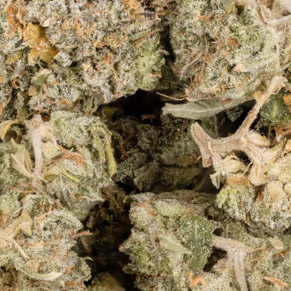 Blueberry - AA - Image 2