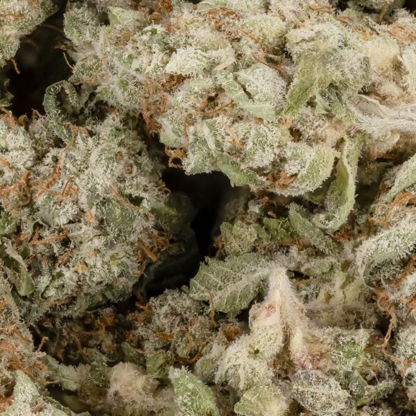 Blackberry Kush - AA - Image 2