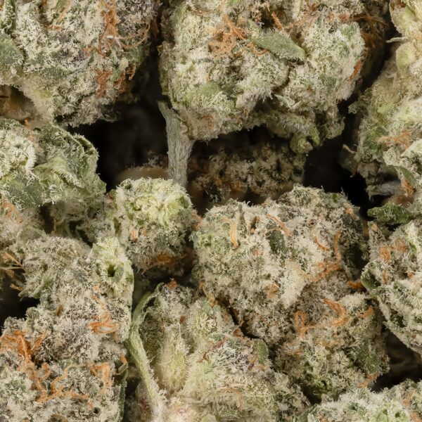 Death Bubba - AA - Image 2